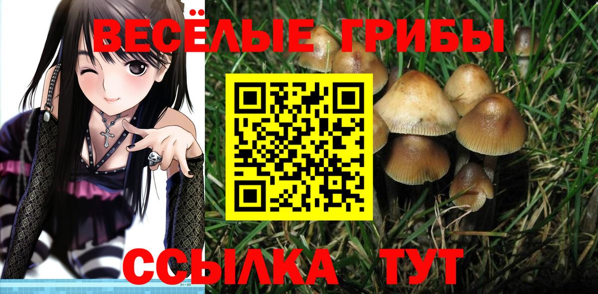 Галлюциногенные грибы MAGIC MUSHROOMS Шахты